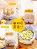 Egg Boiling and Steaming Machine Automatic Power Off Mini Egg Machine Small Home Breakfast God Machine Dormitory Multi 220v 2