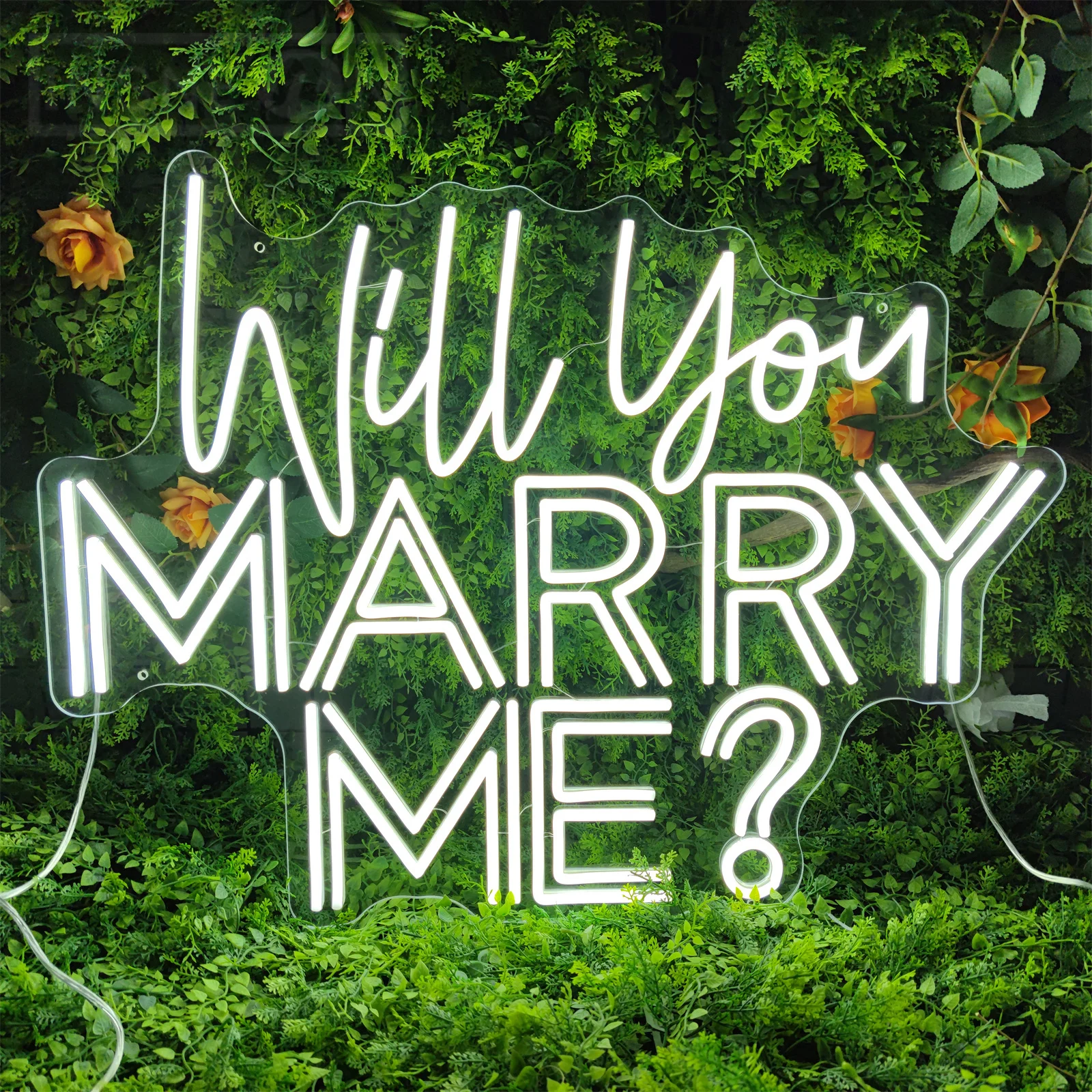 Enseigne au néon LED Will You Marry Me avec adaptateur secteur 12V, décoration murale pour mariage, enseigne pour salle de fête