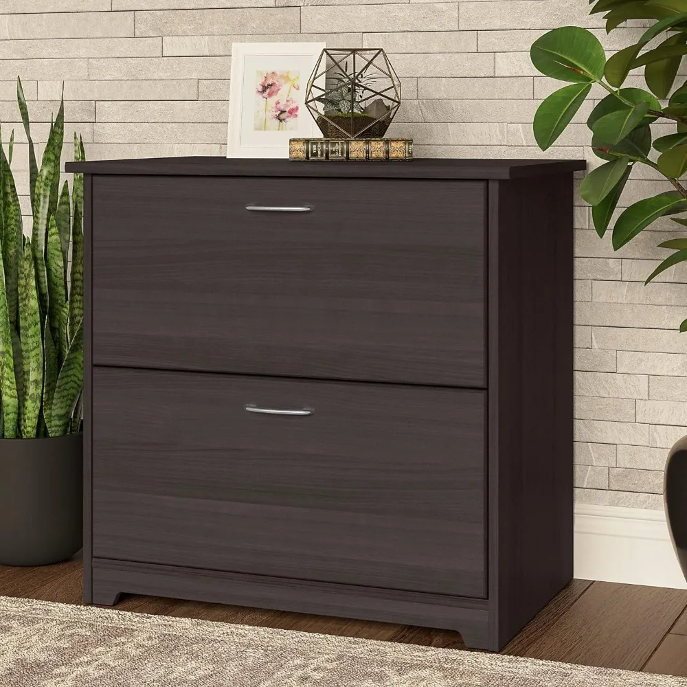 

File Cabinet, 2 Drawer Lateral File Cabinets, Letter, and A4-Size Document Storage for Home Office, File Cabinet