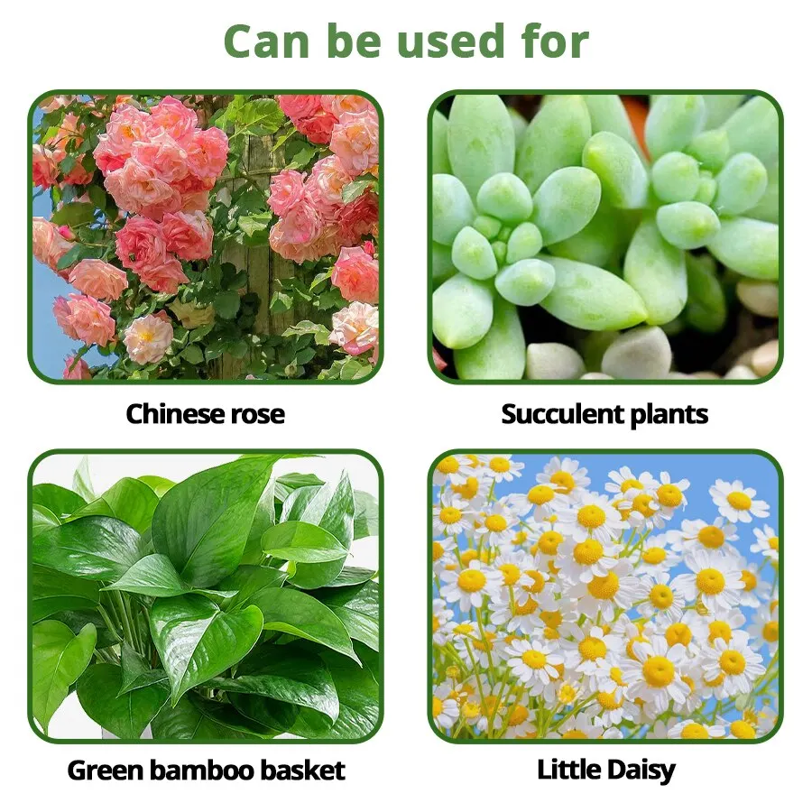 Face Planters Pot for Indoor Outdoor Plants with Drainage Hole flower pot plant pot