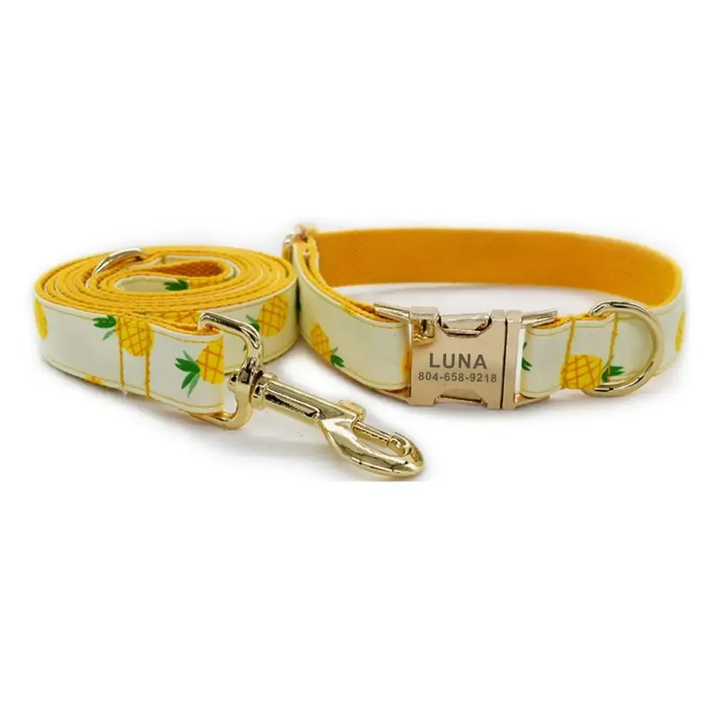 Personalized Pineapple Pet Collar Puppy Cat ID Tag dog collar dog id tag Adjustable Name Gold Buckle Orange Fruit Basic Dog Collars Leash