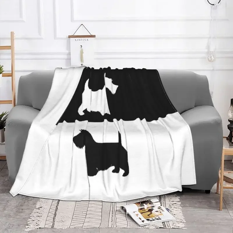 ������ �ε巯�� �ö��� ��īƼ �׸��� ���, ���� ���� ħ���� �� ������ ���, ����