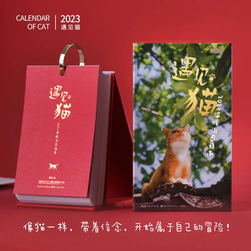 2023 Years Meet Cats 365 Days Calendar Cute Cat Calendar High Beauty 2023 Years Meet Cats 365 Days Calendar Cute Cat Calendar High Beauty