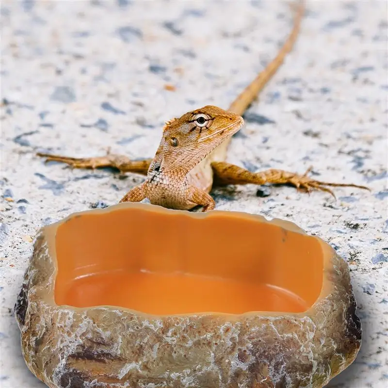 

Reptile Food Water Worm Feeder Reptile Feeding Dish Reptile Food Dish Reptile Food Bowl Reptile Water Dish Reptile Worm Dish