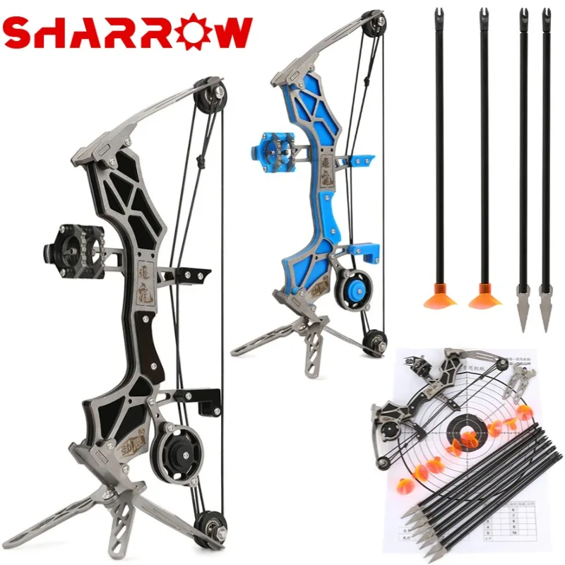 Archery Mini Compound Bow and Arrow Set 12Lbs Stainless Steel Powerful Bow Range 20-30m for Practice Shooting Pocket Pulley