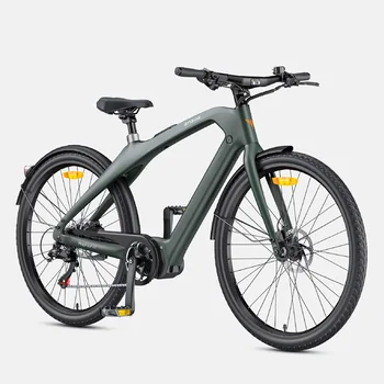 ENGWE N1 PRO 250W 36V10AH Bicicletta Elettrica con Batteria al Litio Rimovibile, Freni Idraulici, per Adulti, Montagna, Città e Pendolari