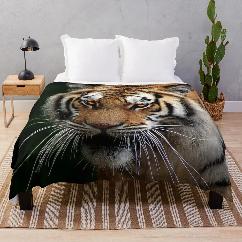 

Tiger Throw Blanket Polar Hair Hairy Tourist Blankets