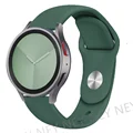 Pine green-21