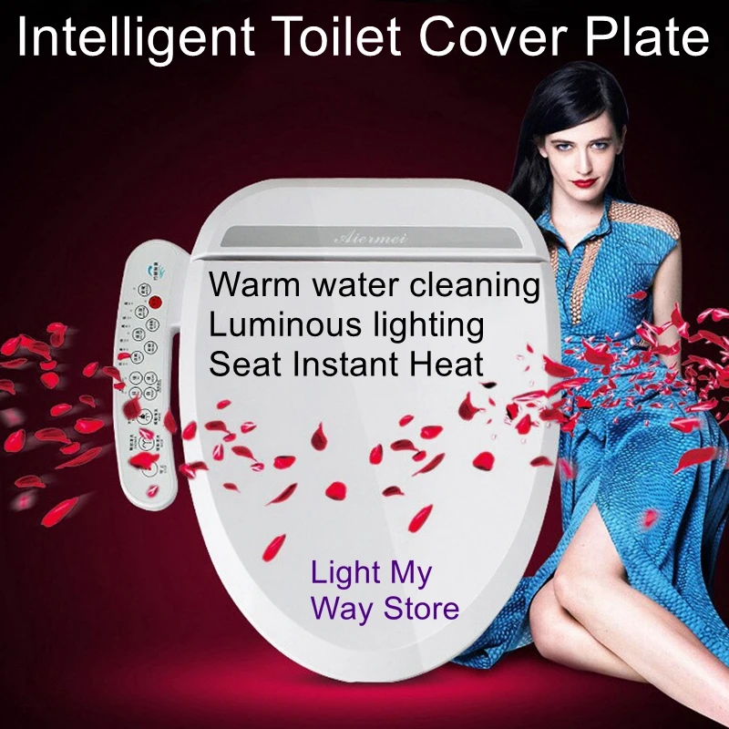 

Intelligent toilet cover plate automatic heating warm water cleaning body cleanser intelligent toilet seat ring thermostat