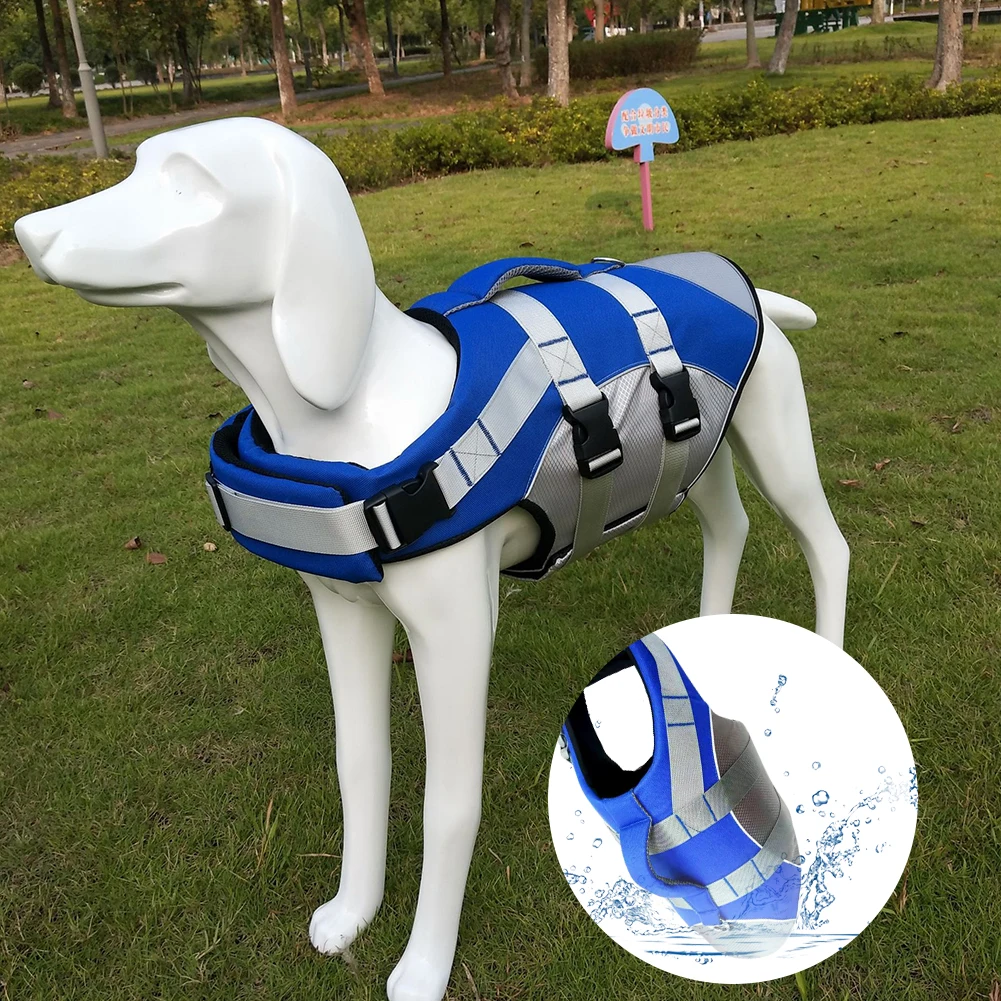 Slide image 60f8fbcdfbb649289fc3934539d05bfc