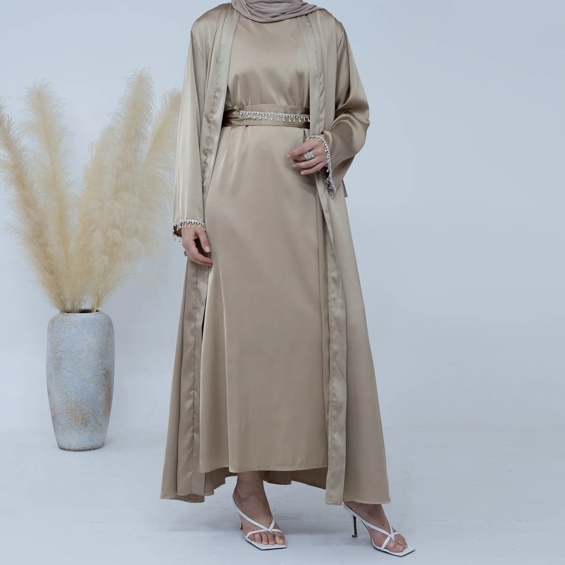 Elegant Dress Image 2