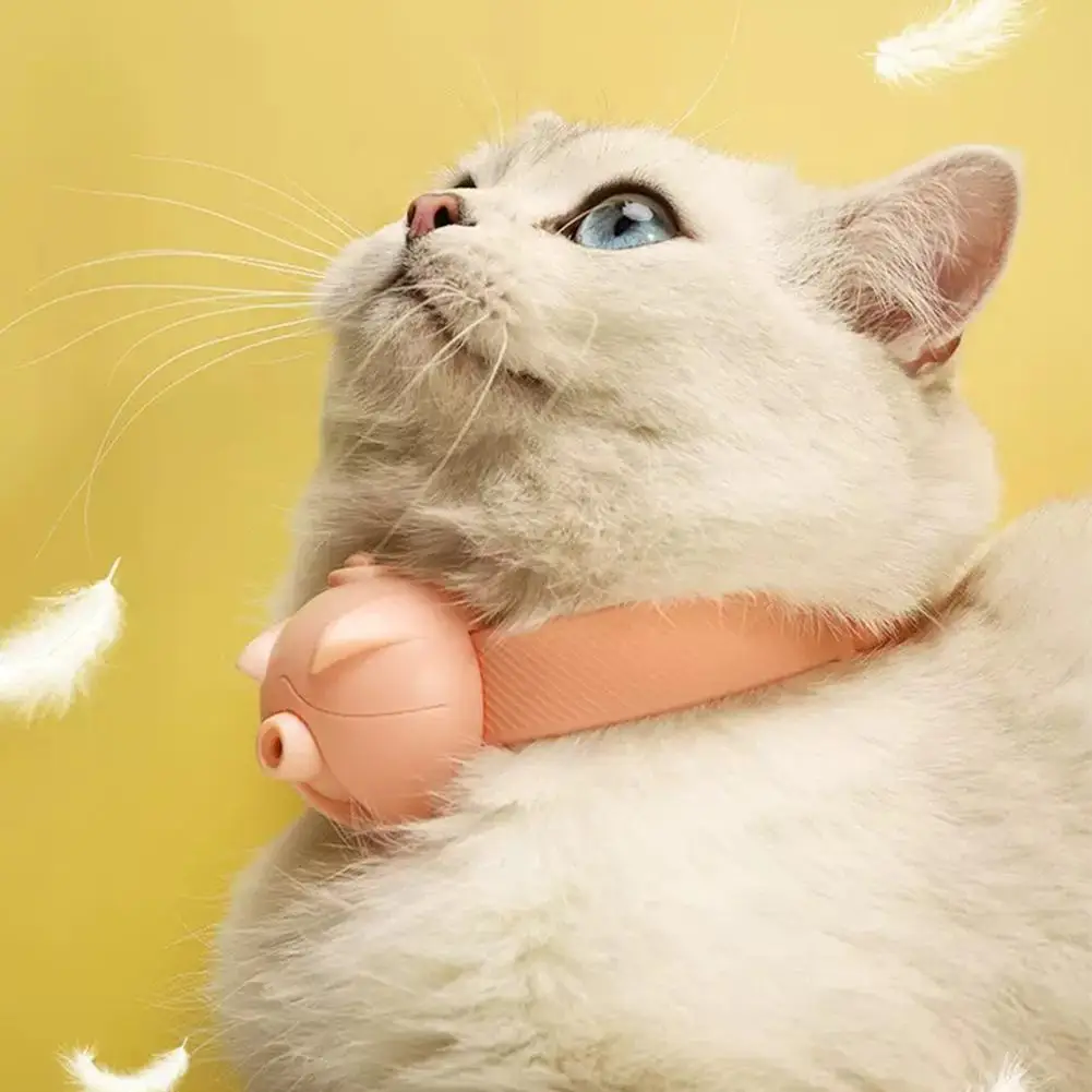 

Cat Automatic Collar Adjustable Length Type-c Charging Interactive Training Kitten Amusing Toys