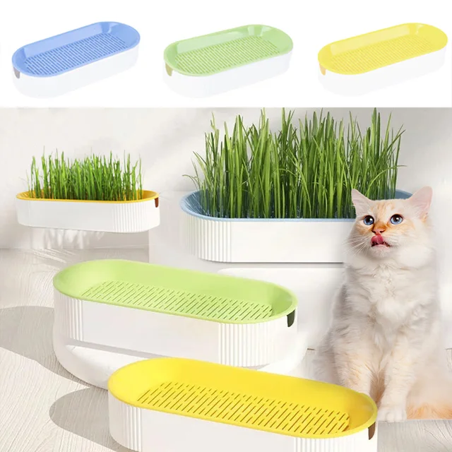 New Pet Cat Hydroponic Sprout Dish Growing Pot Plant Cat Grass Box Germination Digestion Starter Dish Greenhouse Easy Growth Box New Pet Cat Hydroponic Sprout Dish Growing Pot Plant Cat Grass Box Germination Digestion Starter Dish Greenhouse Easy Growth Box