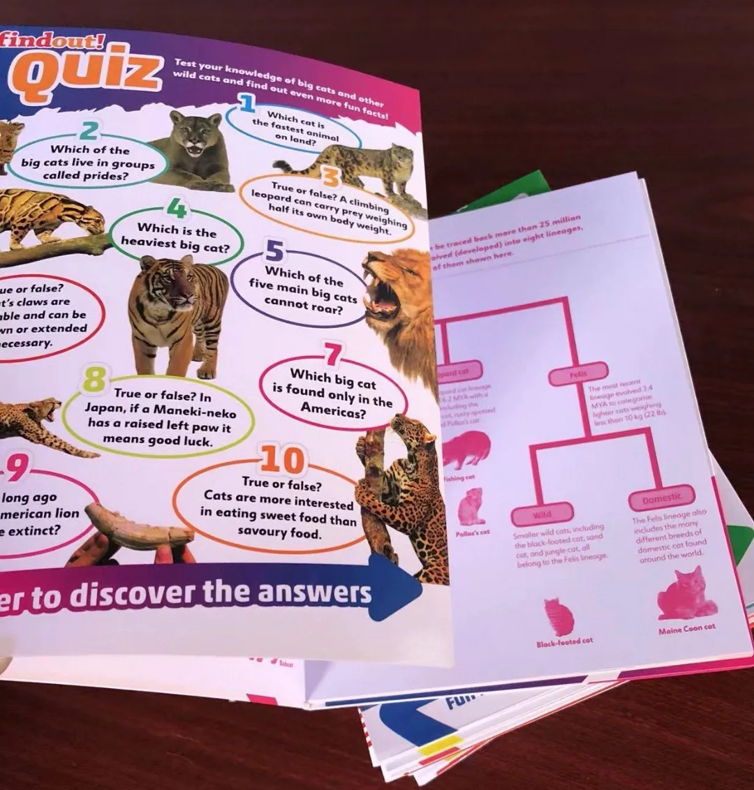 DK Findout! Series with Fun Facts and Amazing Pictures 10