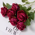 Rose Red