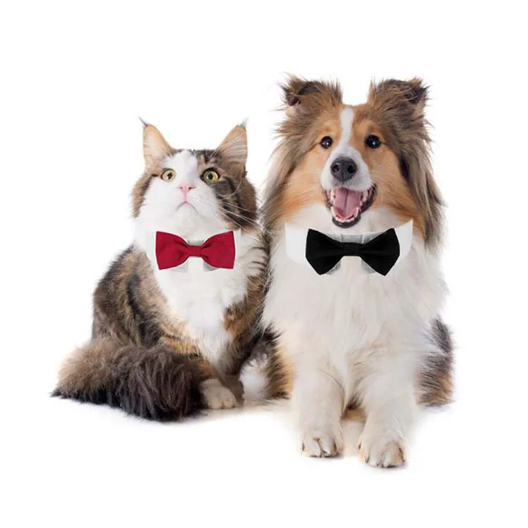 Dog/ Cat Tuxedo Bow Tie 3