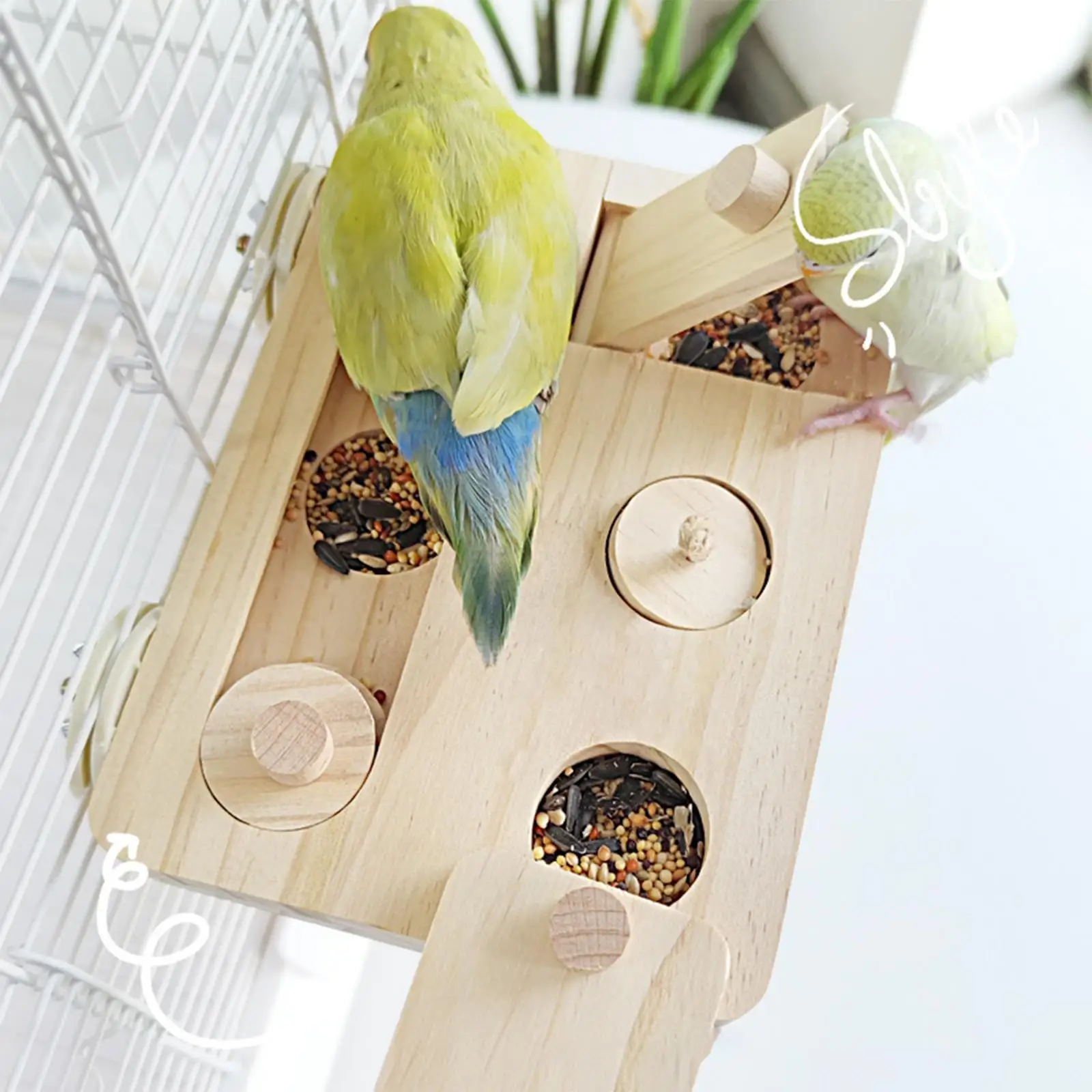 Parrot Enrichment Toy Pets Foraging Game Wooden Bird Foraging Puzzle Toy for Guinea Pig Mouse Dwarf Hamster Cockatiel Caique