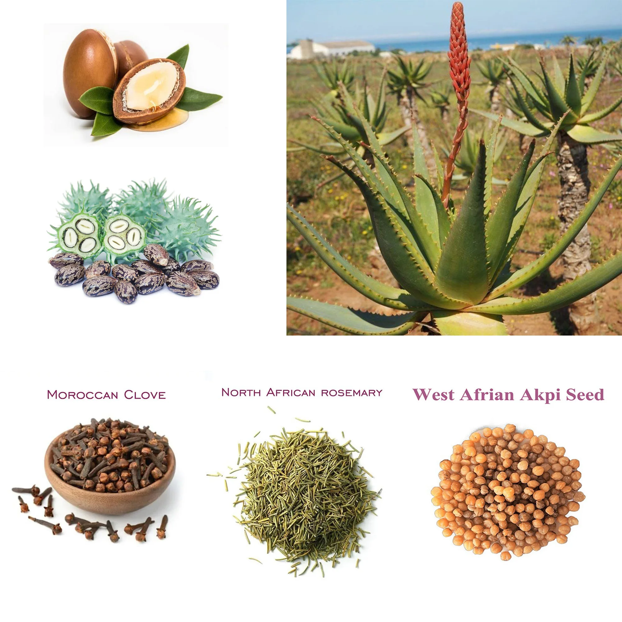 Artisanal African Traditional Layden Nourish Oil 2