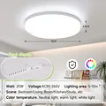 3 Colors Light