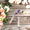 5 Pcs Test Tube Vase Vases Propagation Tubes Convenient Glass Container Hanging Planter Office Transparent 5