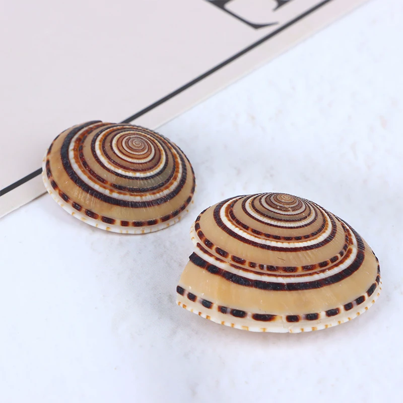 20-40mm Mixed Spiral Shell Beads Pendants Beach Craft Natural Sea shell Craft Decoration DIY Handmade Accessories 5pc/lot