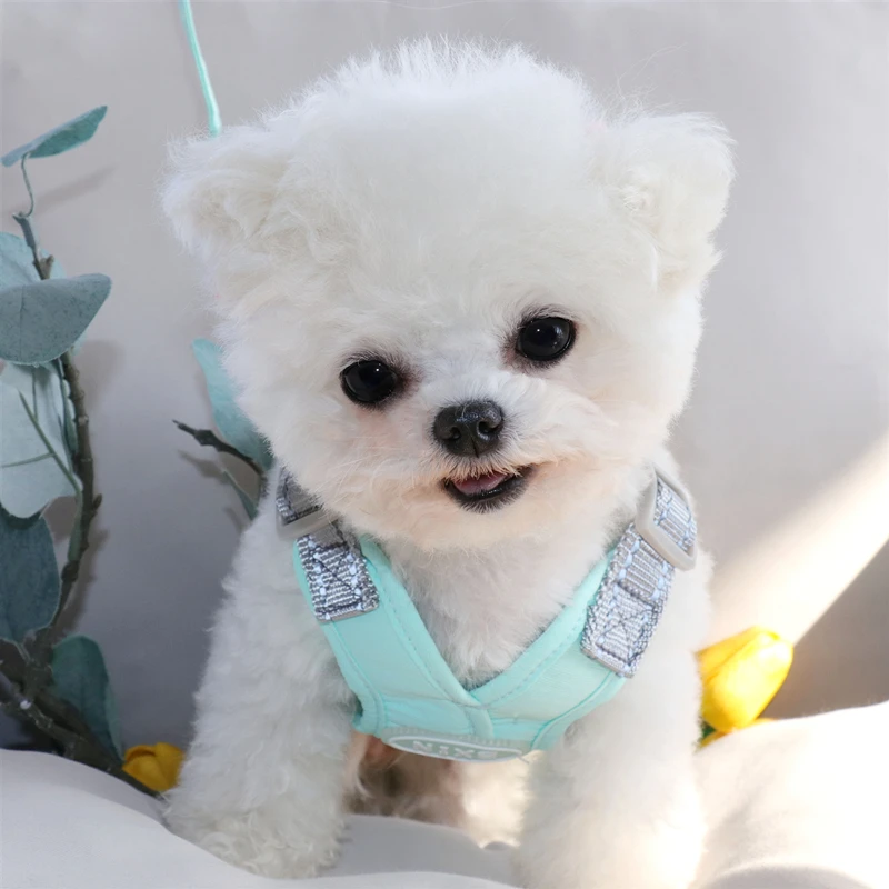 단색 개 목줄 테디 가슴 캐리어, 중형 소형견 산책 목줄, 비숑 프리즈 강아지 조끼 스타일