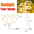 4 Head Sunlight
