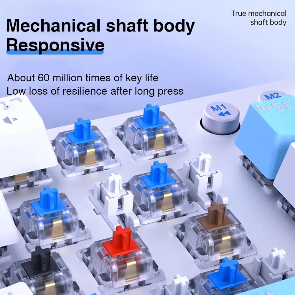 AULA F3001 tastiera Bluetooth Wireless 2.4G tastiere per ufficio da gioco meccaniche in 3 modalità 87 tasti con manopola multimediale