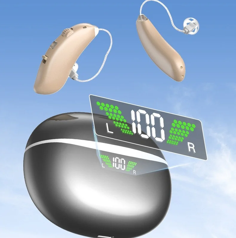 16 Channels Hearing Aids Digital Display Ear Back Type Digital Hearing Aids for