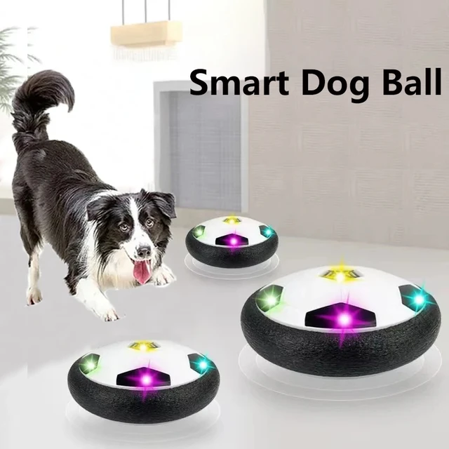 Balle Interactive pour Chien, Jouet Magique et Amusant, Accessoire  d'Entraînement en Plein Air - AliExpress