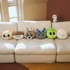 30cm Kpop Idol BOYNEXTDOOR BBNEXDO Face Cushion 2
