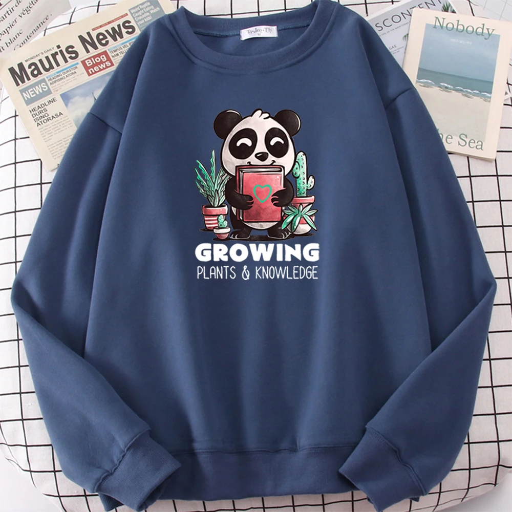 

Men Pullover Kawaii Panda Succulents Cartoons Print Sweatshirt Hoodie Man Women Oversize Casual Long Sleeve Round Neck Cute Tops