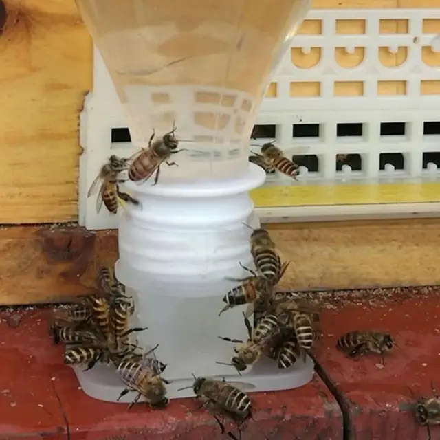 1 Db Méh Vízi Adagoló Méhek Queen Méz Bejárat Ivó Méhész Szerszámok Telepítő Szökőkút És Felszerelések A P8Q6 Egyszerű Működtetéséhez - Image 4