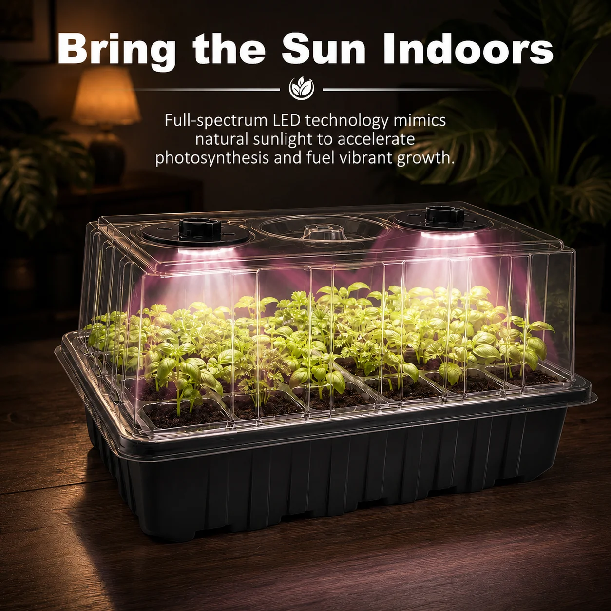 Premium Seed Starter Kit with Adjustable Ventilation & USB Controller, Indoor Tray for Optimal Germination and Growth