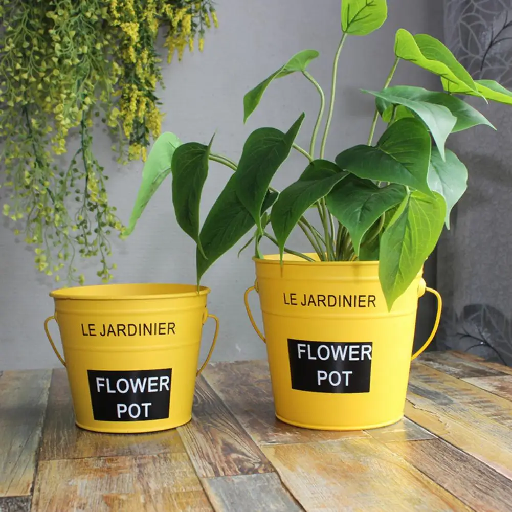 Plant Flower Pot Durable With Handle Flower Pot Green Succulent Potted