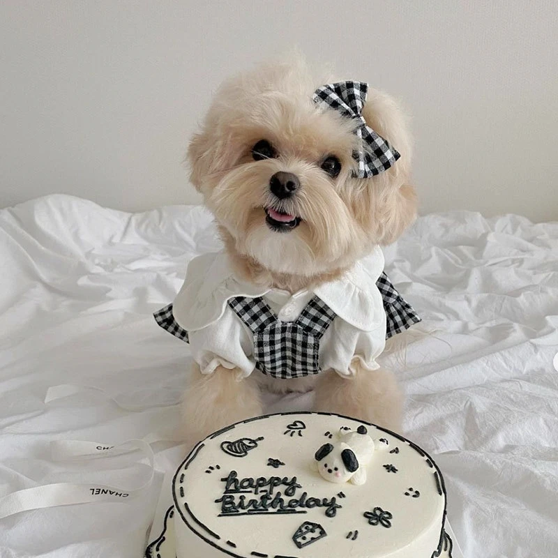 Luxury Dog/Cat Summer Plaid Dress 5