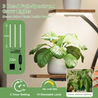 Indoor Plant Stand With Grow Lights