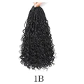 1B