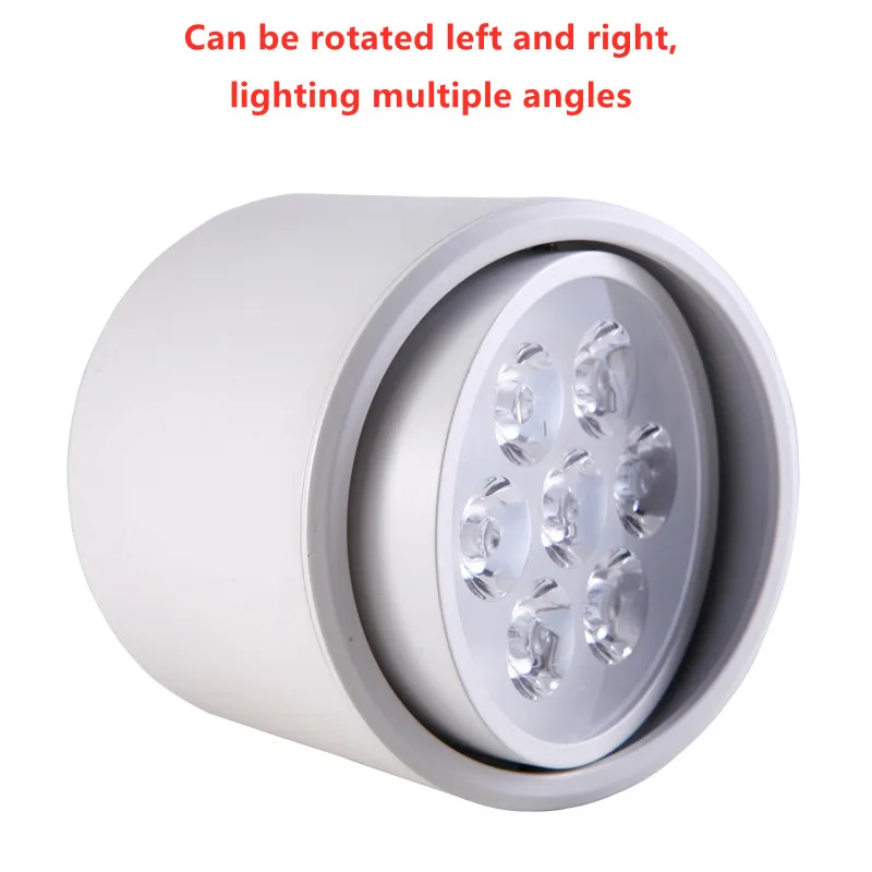 Surface Mounted Adjustment Anti Glare LED Downlight 6W 10W 14W 18W 24W COB Spot Light Ceiling Lamp AC85-265V + Led Drive 1Pcs