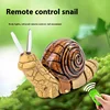 Simulation Funny Puzzle Toys  Little Snail with Light Children Play House Remote Control Biological Cognition Education Toys 1