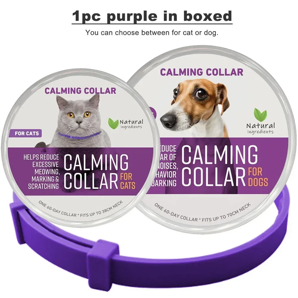 1pc Purple in boxed