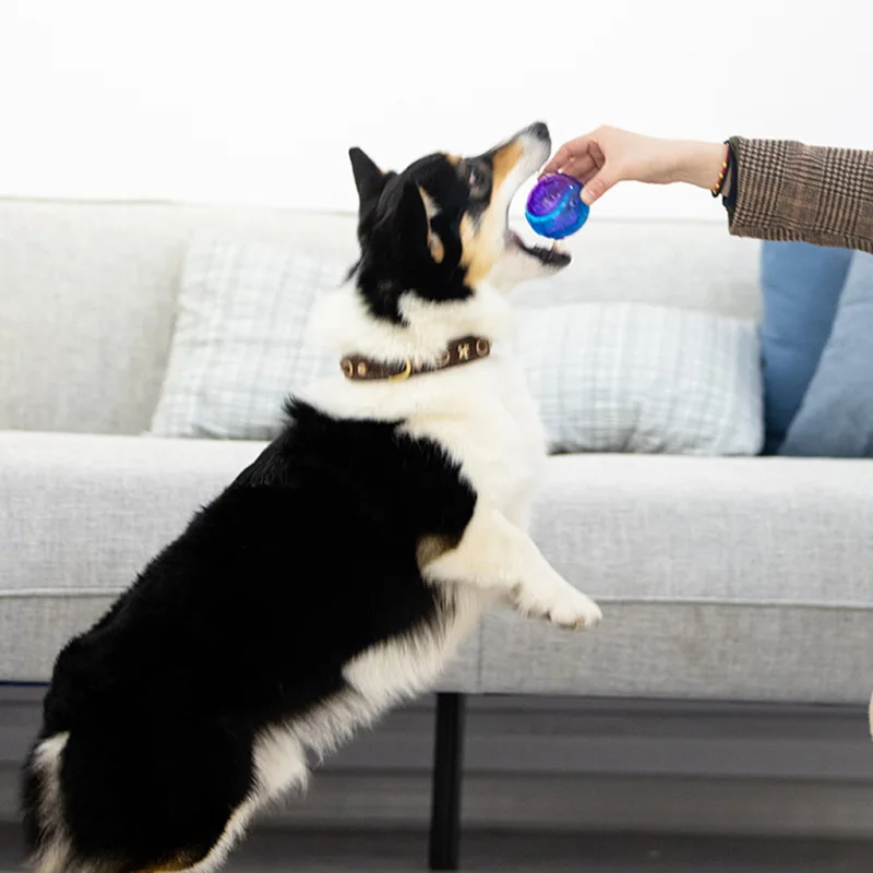 Gigwi Pet Toys G-Ball Series Interactive Dog Ball Dog Toys Squeaky Balls 2.5” Bouncy And Assorted Colors for Small/Medium Dogs 3