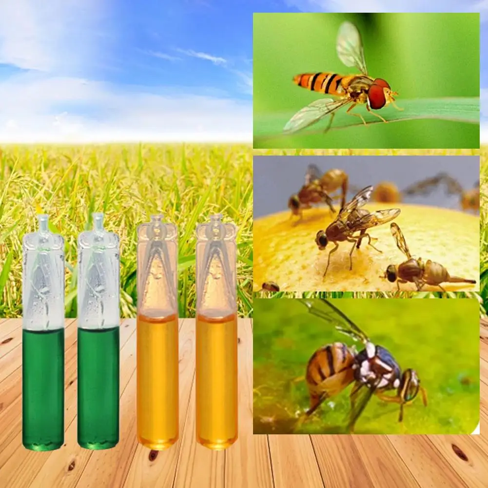 10pcs Drosophila Attractant Fruit Fly Attractant Liquid Fruit Fly Killer For Outdoor Camping Travaling Pheromone fruit fly attractant