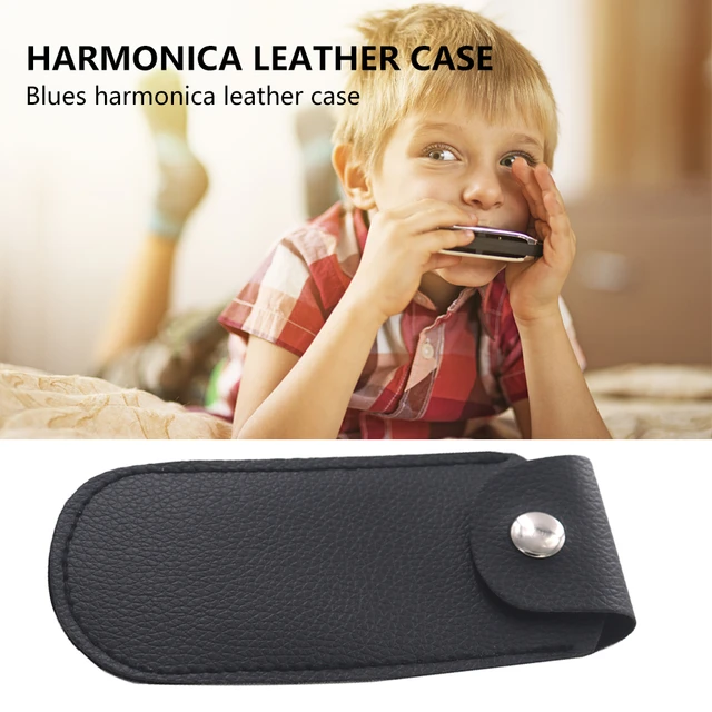 EastTop Foam Harmonica Case Box Bag for 12 Pack 28-Hole Mouth Organ Harp  Blues | eBay