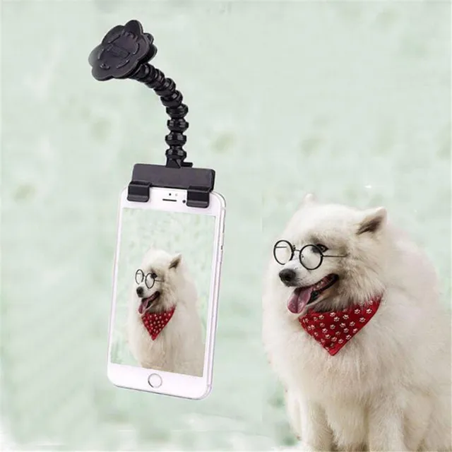 Pets Selfie Stick Selfie Artifact Dogs Cats Toys Look At The Camera Phone Clip Take Pictures Of Pet Dog Cat Supplies Accessories - Dog Accessories - AliExpress