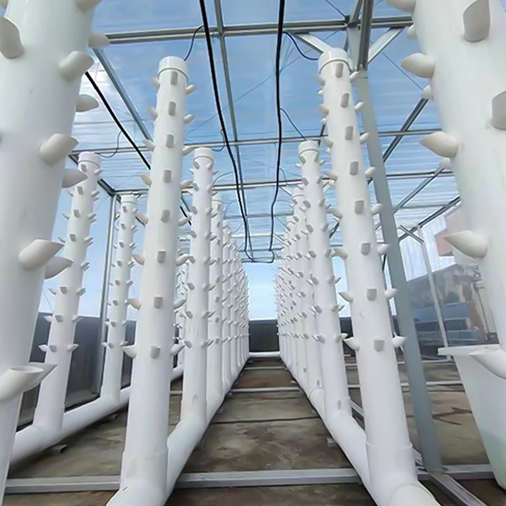 Soilless Hydroponic Nursery Cup with Grow Sponge