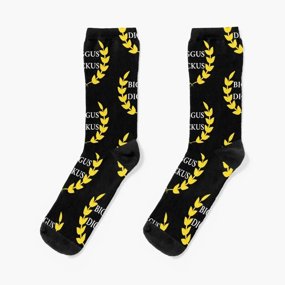 

Biggus Dickus Socks gym Heating sock Socks Female Men's