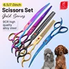 Fenice Classical Model homeuse 9cr steel 6.5/7.0 Inch rainbow&black dog grooming scissors Shears set for household pet owner 1