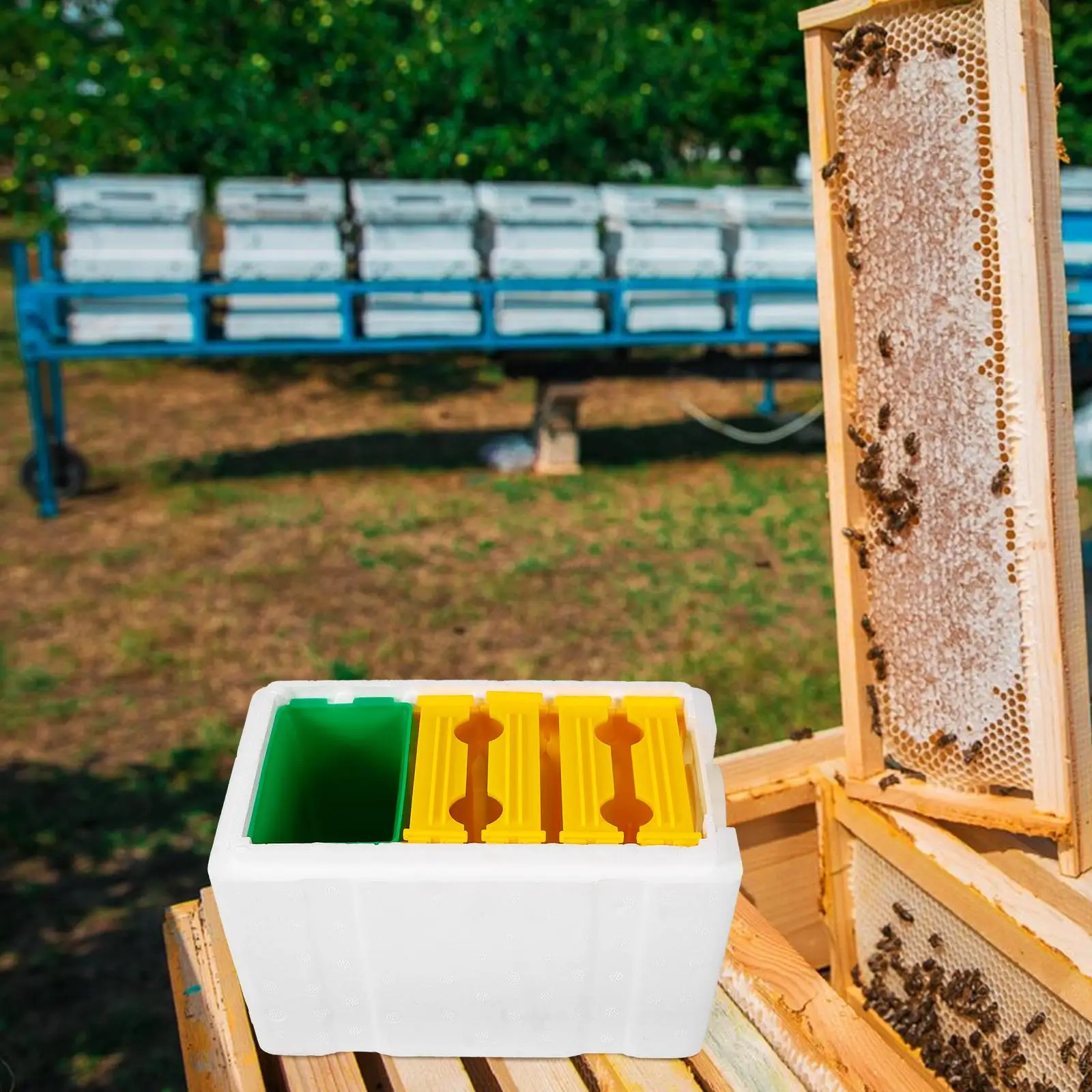 4 Frame Plastic Feeding Hive Bee Breeding Box Door Mini Mating Tool Compact Gardening Equipment Beekeeping