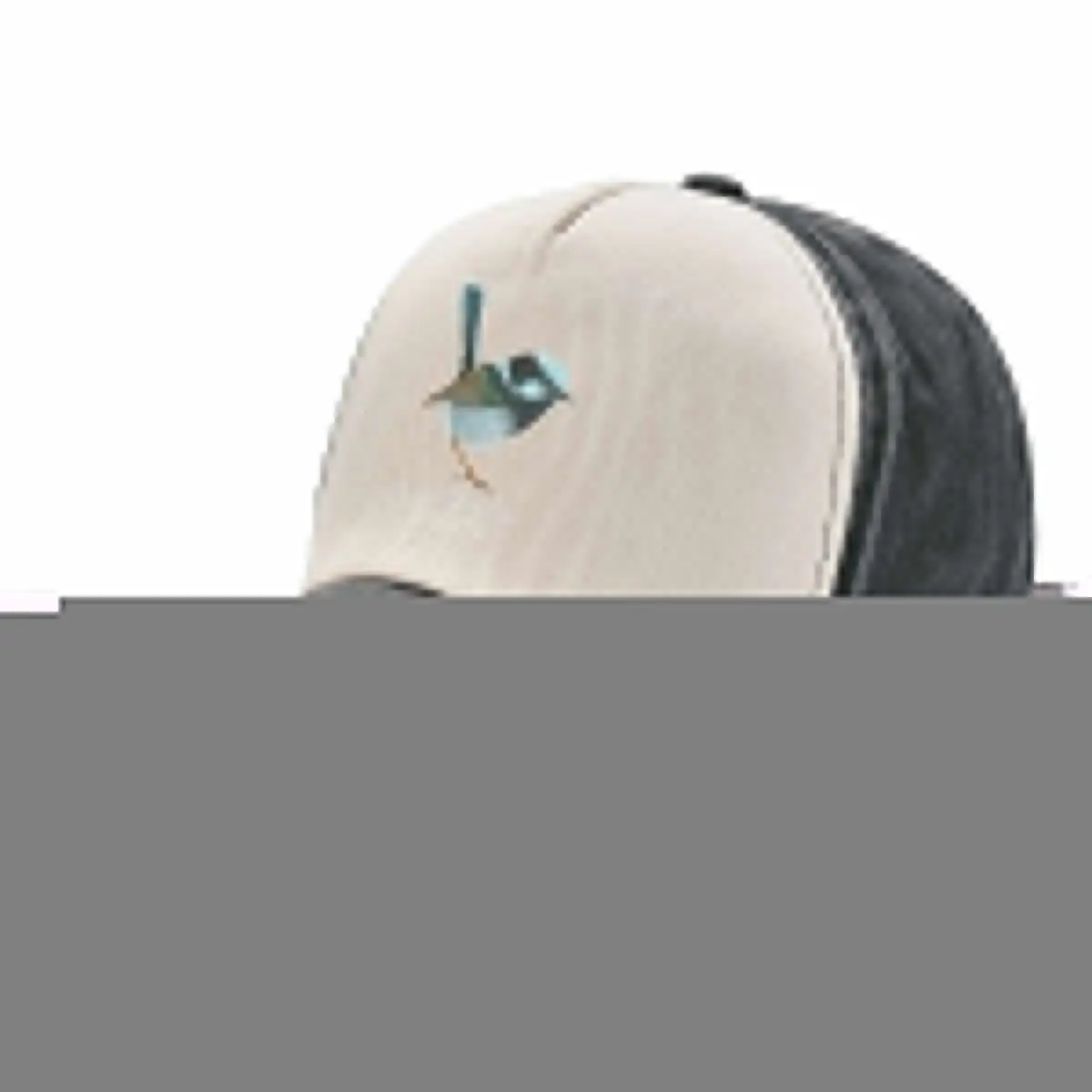 

Finn - Fairy Wren Baseball Cap Trucker Cap Cosplay Men's Luxury Women's